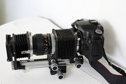 40D+Canon duplicator